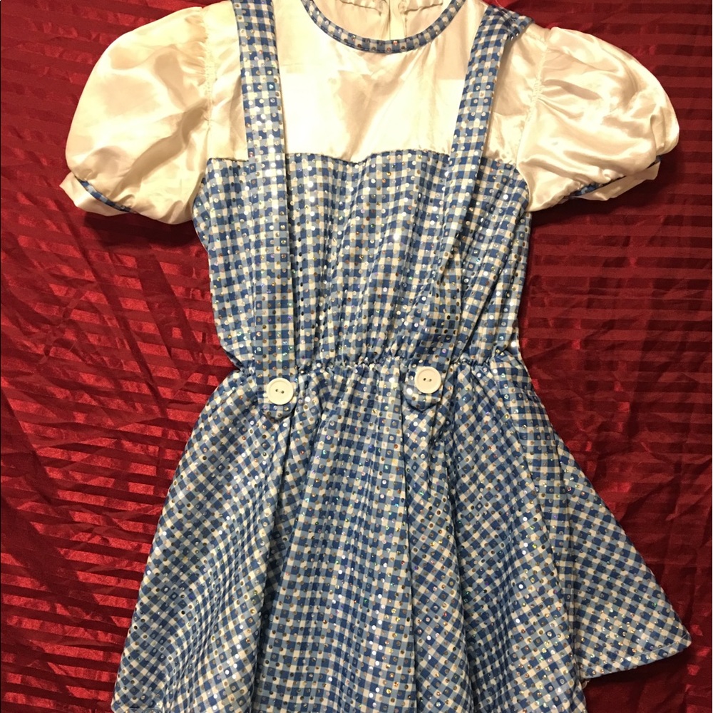 Wizard of Oz Dorothy Costume